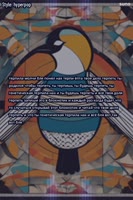 600x900