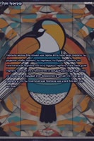 600x900