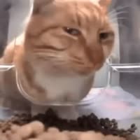 320x320