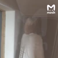 720x720