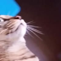 360x360