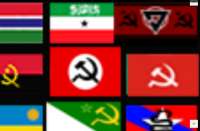 1247x819