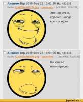 423x517