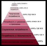 828x816