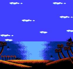256x240