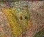 150x126