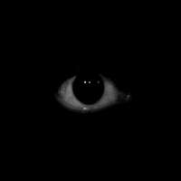 320x320