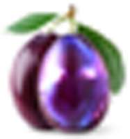 300x320