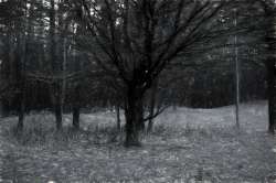 3012x2012