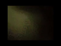 320x240