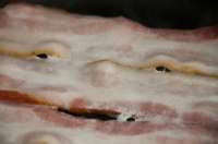 600x398