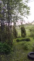 720x1280