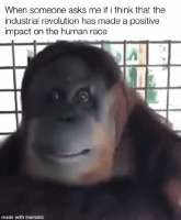 368x446