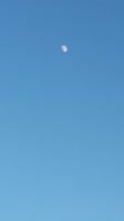 406x720