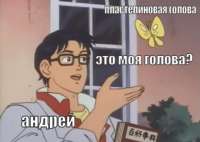 480x342
