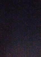 404x552