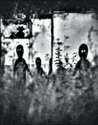1352x1720