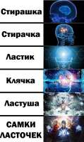 524x880