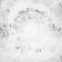 360x360