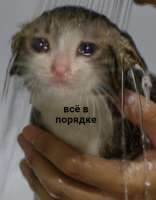 636x815