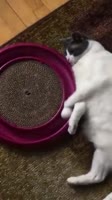360x640