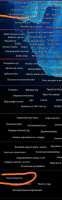 626x1990