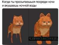 539x407