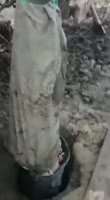 346x624