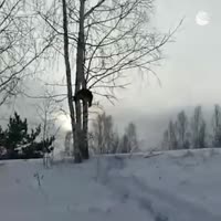 720x720