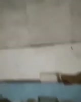 340x426