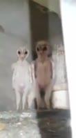 396x720