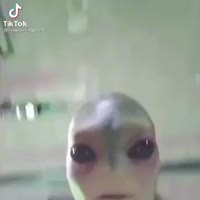 360x360