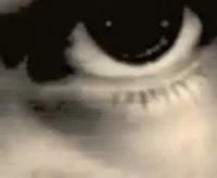 292x240