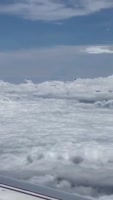 360x636