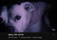 1080x755