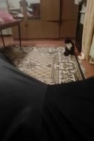 360x540