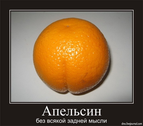 500x441