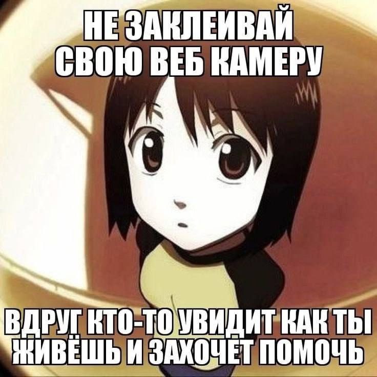 736x736