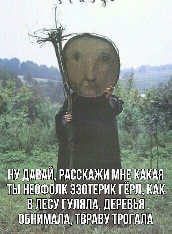 564x765