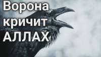 1280x720