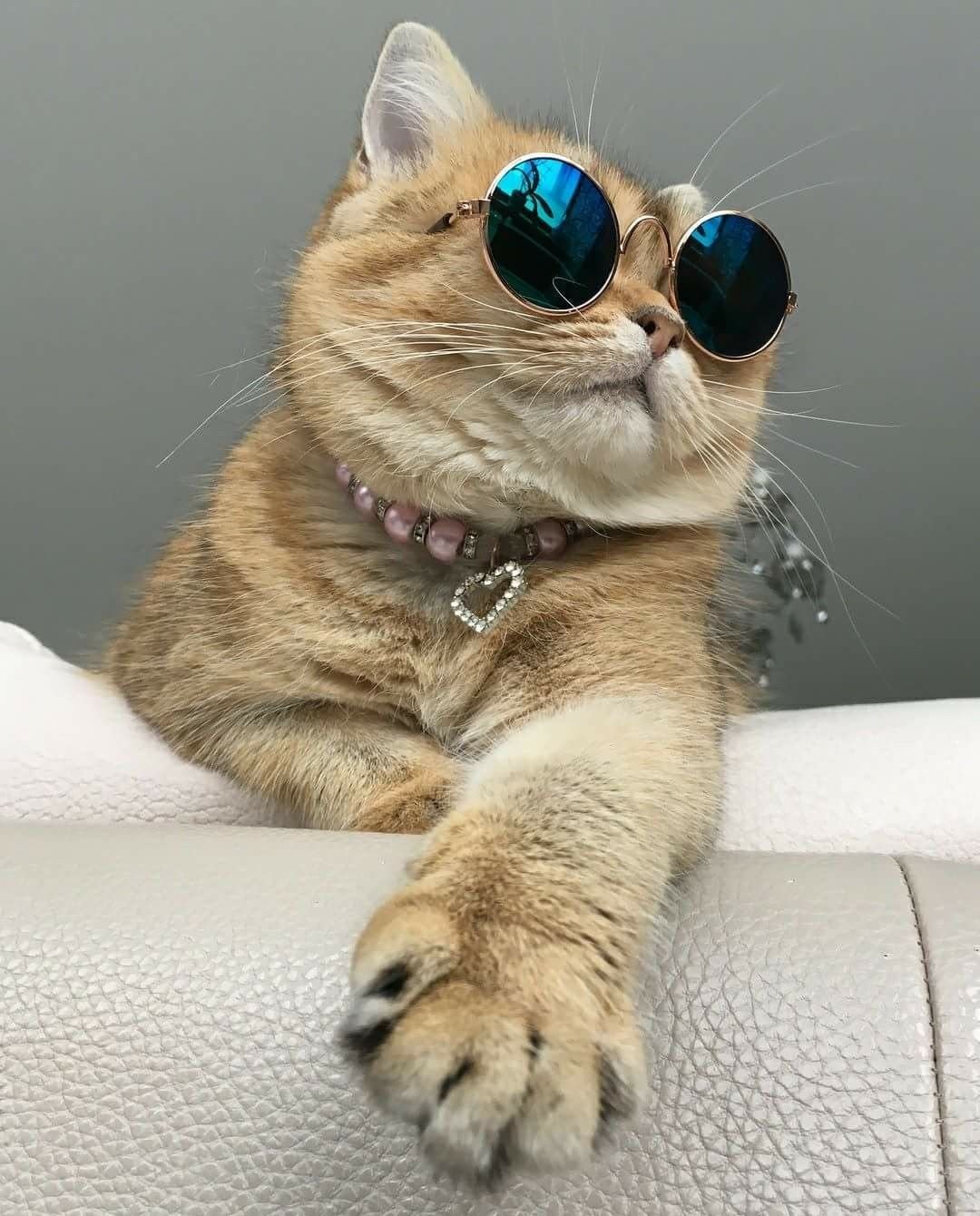 1080x1340