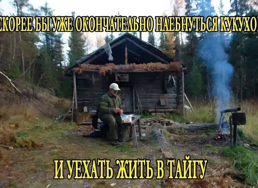 1080x790