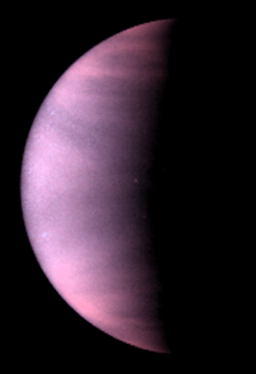 500x730