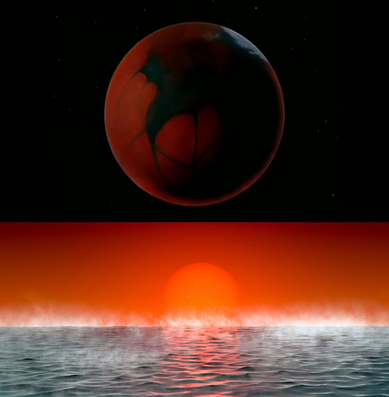 1313x1338