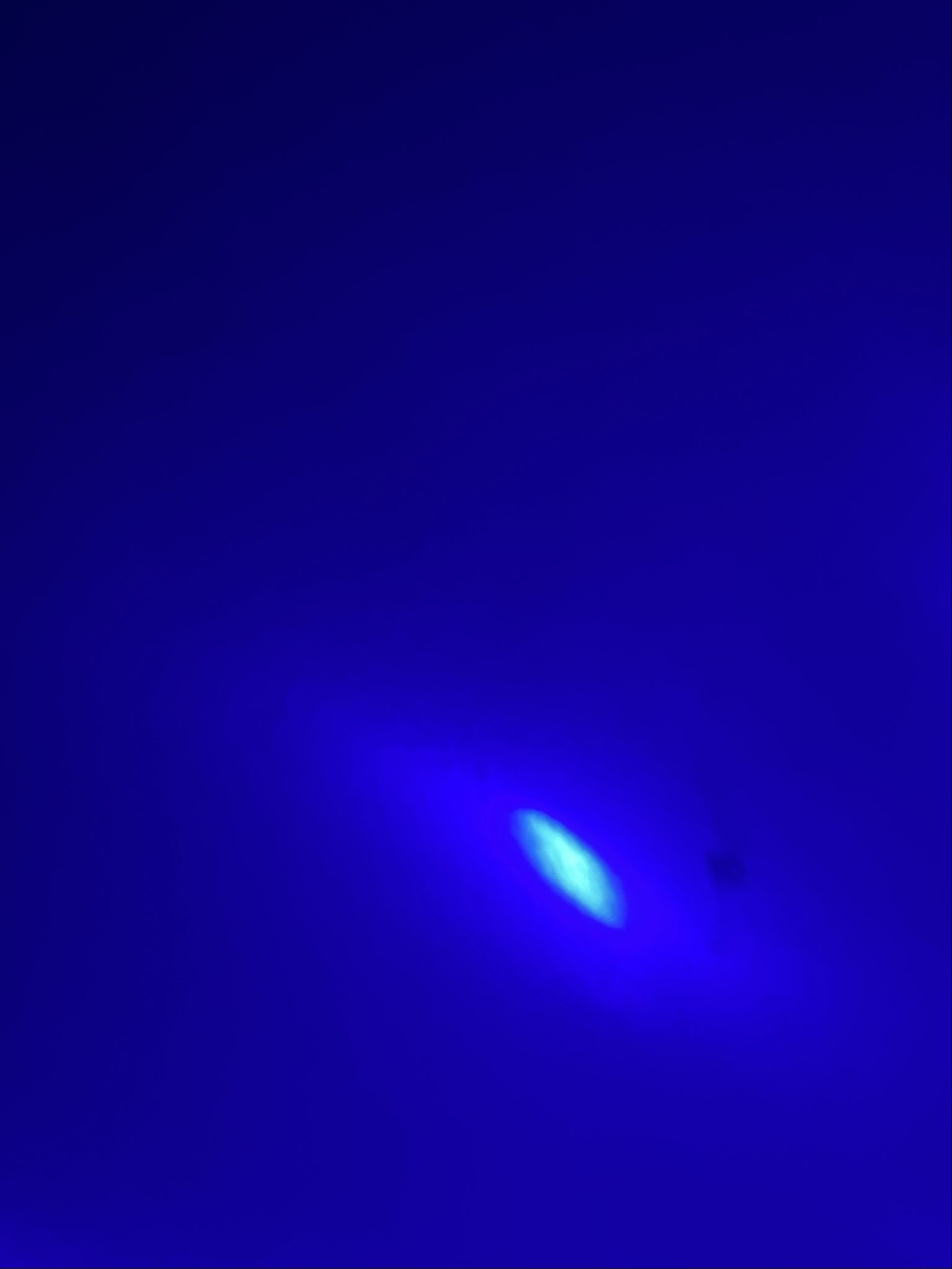 1537x2048