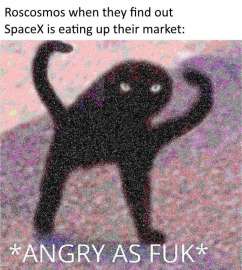 665x739