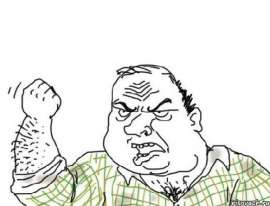 498x381