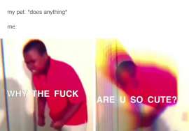 500x349