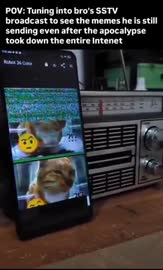 290x480