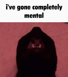 498x560